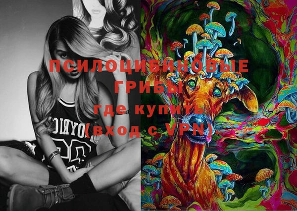 эйфоретик Дмитриев