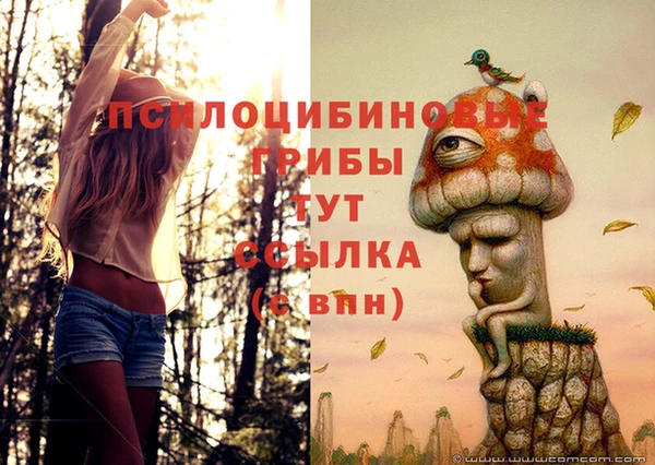 гидропоника Гусь-Хрустальный