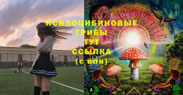 молекула духа Балабаново